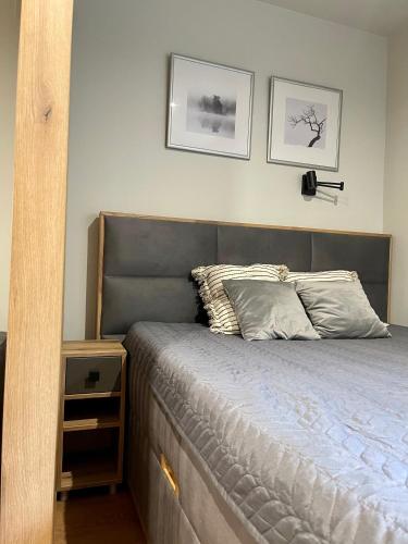 a bed in a bedroom with two pictures on the wall at Apartman Aleni - Bela Reka, Brzeće in Brzeće