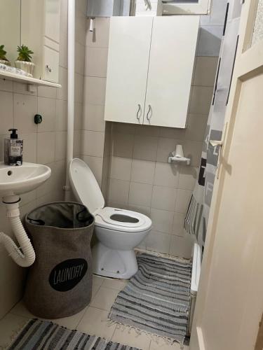 a small bathroom with a toilet and a sink at JOVAN APARTMAN in Rospi Ćuprija