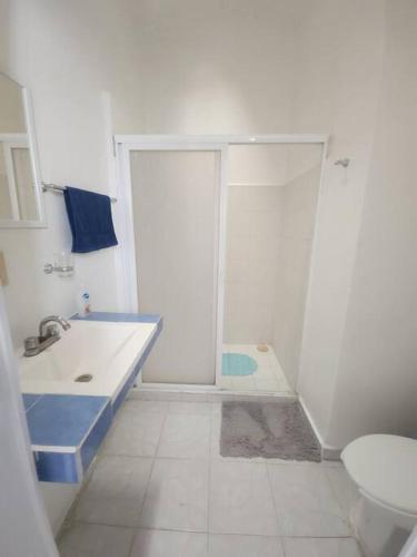 a bathroom with a shower and a sink and a toilet at Escape Acapulco in Acapulco