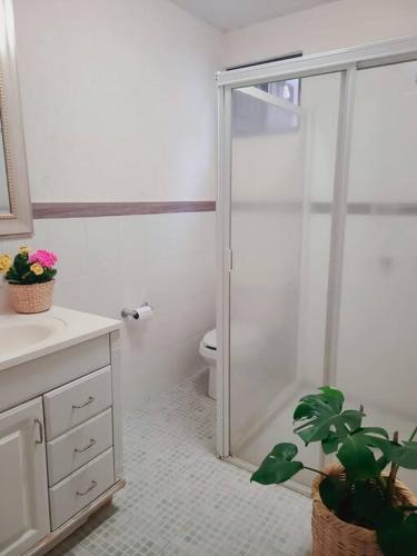 a bathroom with a shower and a toilet and a plant at Hermosa casa en Cuernavaca cerca de los mejores restaurantes y plazas in Cuernavaca