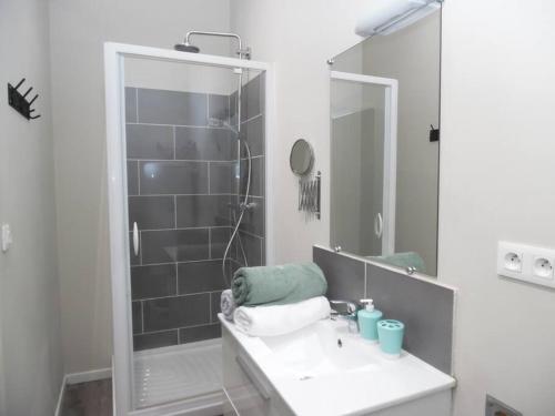 Villenoy的住宿－Cozy House with Garden Near Disney，浴室配有盥洗盆和带镜子的淋浴