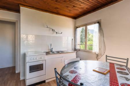 - une cuisine avec une table, une cuisinière et un évier dans l'établissement Vacancorse Maison U Canale, à Speloncato