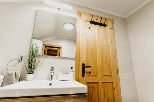 a bathroom with a sink and a wooden door at Forest Garden & House in Izvoare