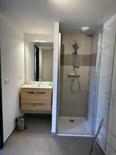 une salle de bain avec douche et lavabo dans l'établissement A la belle quatrième étoile, à Annecy