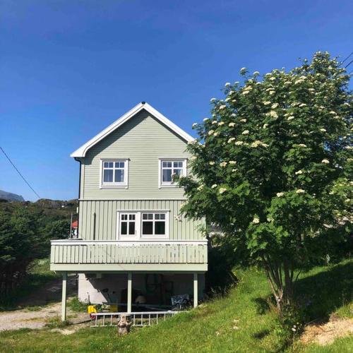 a house on a hill with a tree at Mørkveden feriehus, Lofoten in Ramberg