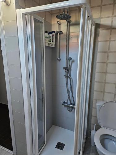 a bathroom with a shower and a toilet at Apartamento en vivienda unifamiliar, con plaza de garaje in Santiago de Compostela