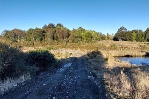 a dirt road in a field next to a river at Cabaña Carpintero negro in Dalcahue