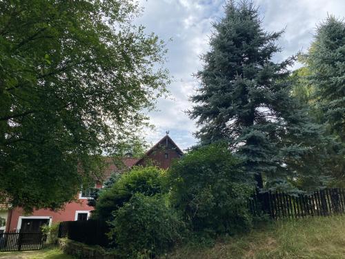 a tree in front of a house with a fence at Mlýn Slavonice in Slavonice