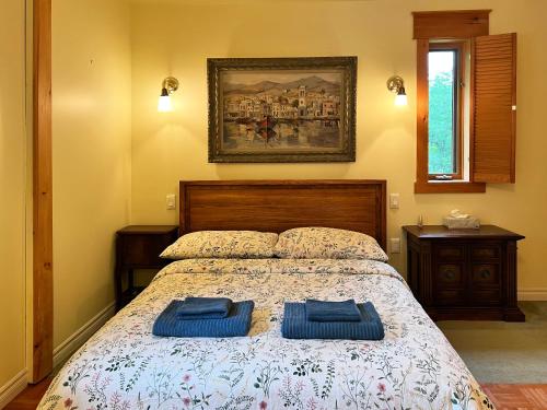 una camera da letto con un letto con due cuscini blu sopra di Bed & Breakfast Lukomorye a Wentworth-Nord