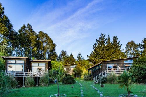 a house in the middle of a yard with trees at Cabañas Bosques de Puertecillo in Puertecillo