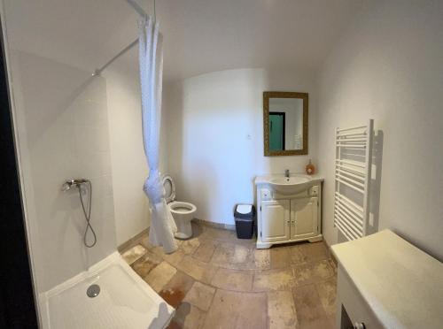 a bathroom with a shower and a sink and a toilet at Demeure Sainte Clotilde, événementiel et chambres d'hôtes à Neffies in Néffiès