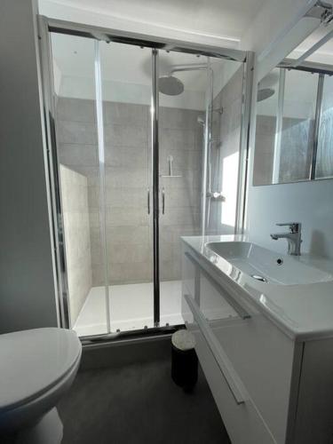 La salle de bains est pourvue d'une douche, de toilettes et d'un lavabo. dans l'établissement Maison Hyper Centre Brive, à Brive-la-Gaillarde