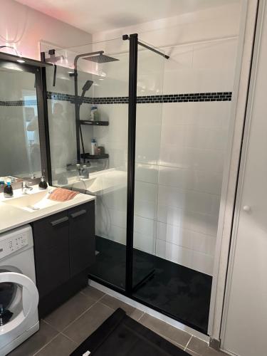 W łazience znajduje się prysznic, toaleta i umywalka. w obiekcie Agréable Loft aux portes de bordeaux w mieście Artigues-près-Bordeaux