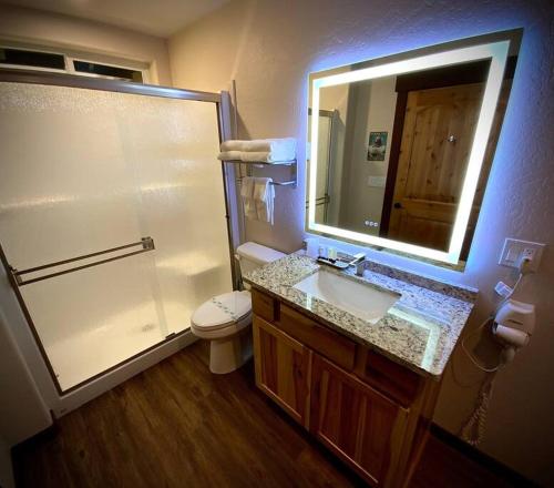 a bathroom with a toilet and a sink and a mirror at Bear Mountain Suite 10 in Grants Pass