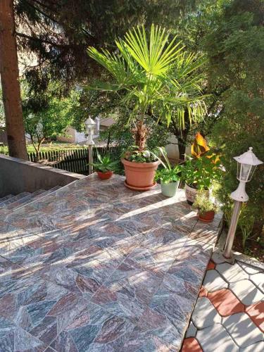 Κήπος έξω από το Obiteljski Apartman Borovi