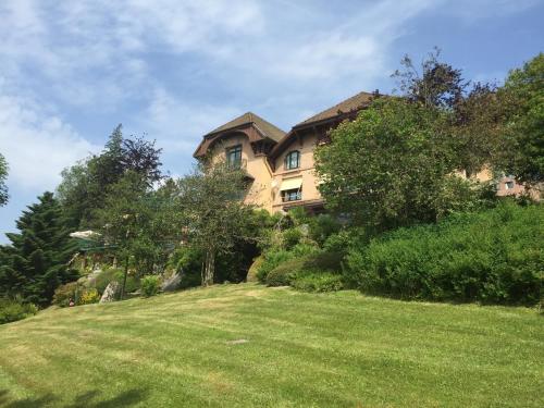 a house on top of a grassy hill at Le Manoir Au Lac in Gérardmer