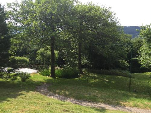 a view of a field with trees and grass at Le Manoir Au Lac in Gérardmer