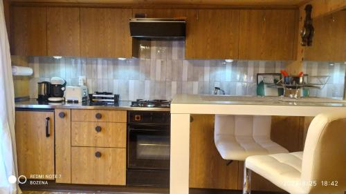 薩斯格倫德的住宿－Le Charlot，厨房配有木制橱柜和台面