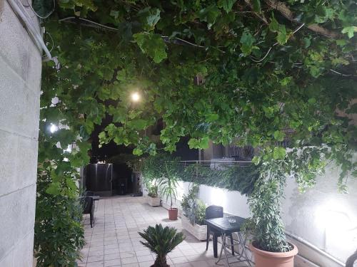 a room filled with lots of green plants and tables at Cozy Home 2 in Amman