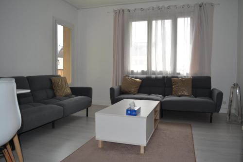 un salon avec deux canapés et une table basse dans l'établissement L'imperator, à Annecy