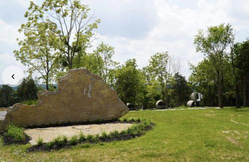 Una gran roca sentada en el césped en un parque en Rv01 Lockridge Park, en Danville