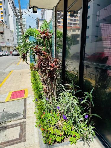Fotografie z fotogalerie ubytování Charmoso Apartamento - Vista Mar - Boa Viagem v destinaci Recife