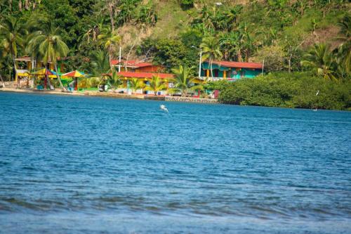 a bird swimming in the water near a beach at Kasakai Beachouse in Juan Gallego
