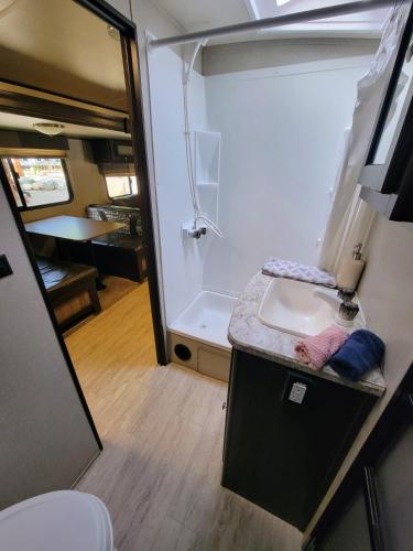 a small bathroom with a sink and a shower at Noah's Ark Campground in Revelstoke