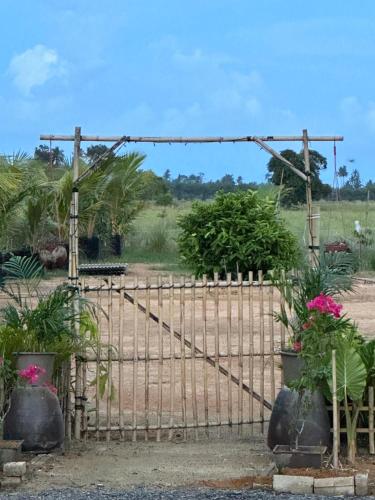 an iron gate with plants in front of a field at DeAsmarra Homestay in Tanjung Piandang