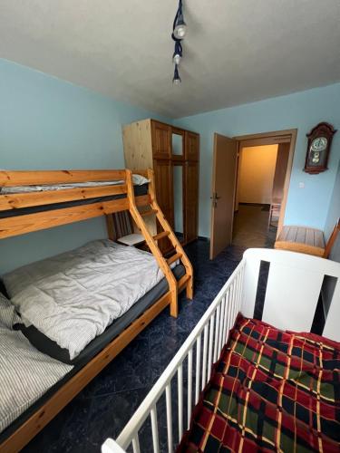 1 Schlafzimmer mit 2 Etagenbetten und 1 Bett in der Unterkunft Apartmán Harrachov in Harrachov