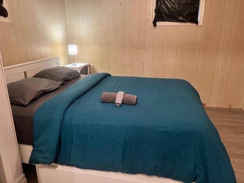 Entire One Bedroom Suite with TV, WiFi, Netflix, Parking and Private washroom