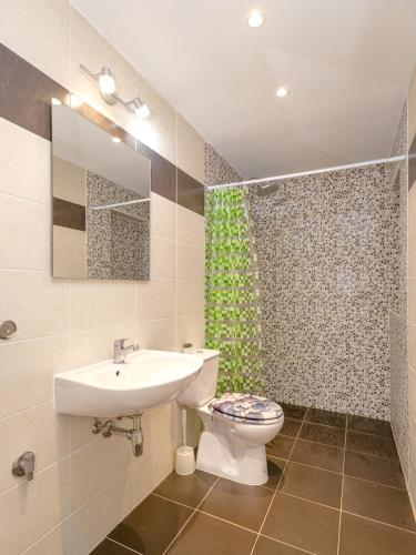 a bathroom with a sink and a toilet and a shower at Apartments Priko in Stari Grad