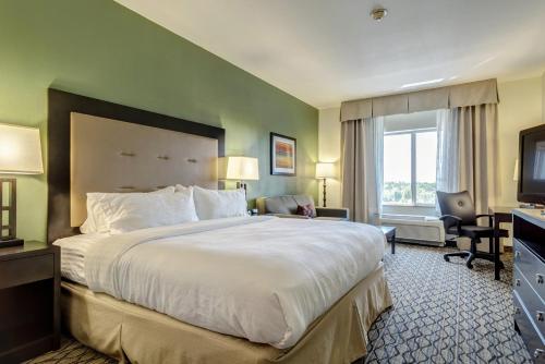 a hotel room with a large bed and a television at Holiday Inn Poplar Bluff by IHG in Poplar Bluff