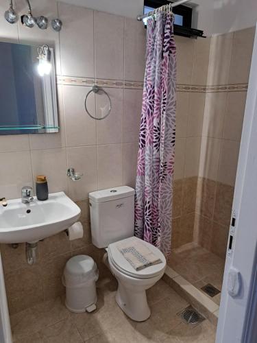 a bathroom with a toilet and a sink and a shower at Seapine Studios in Lassi