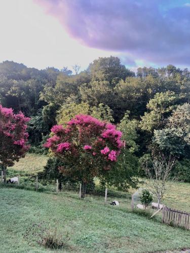 L'adret du bois – Photos 5