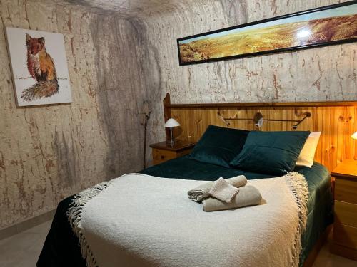 um quarto com uma cama com um gato em Down to Erth B&B em Coober Pedy