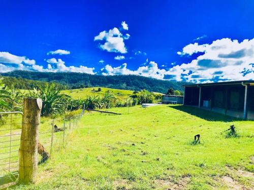a field with a fence and animals in a field at Hilltop Retreat - best of both worlds: Beach/farm in Pillar Valley