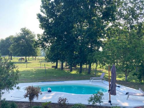 - une piscine avec une chaise et un parasol dans l'établissement Le Nid du Coucou, à Cocumont
