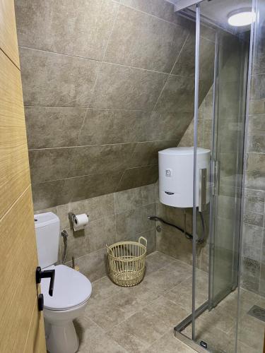 a bathroom with a toilet and a glass shower stall at Montenegro Dream House in Žabljak