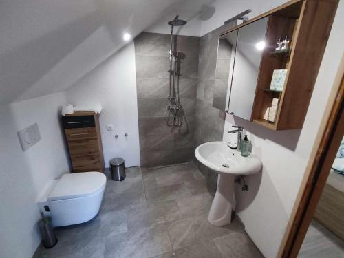a small bathroom with a sink and a toilet at Sivka - mountain apartment with sauna in Kobarid