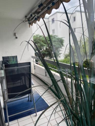 Balkoni atau teres di Steinach-Apartment-Neuffen