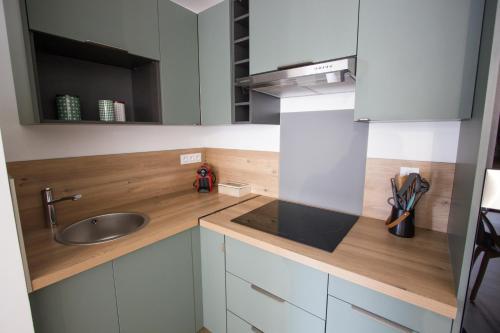 - une cuisine avec un évier et un comptoir dans l'établissement L'olivier - Appartement moderne et chaleureux - TRAM et PARC, à Grenoble