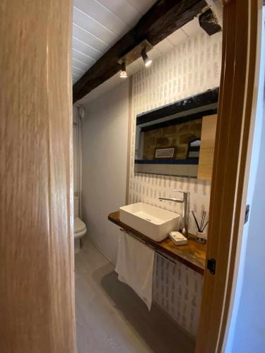 een badkamer met een wastafel en een toilet bij Las Casas de Quintanilla 3 in Quintanilla las Torres