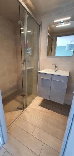 a bathroom with a shower and a sink at Appartement au calme in Bons