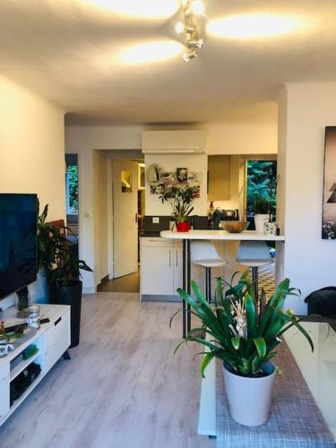 un salon avec une cuisine et un salon avec des plantes dans l'établissement Bel appartement - 50m2 à 7 minutes du centre au calme, à Nice