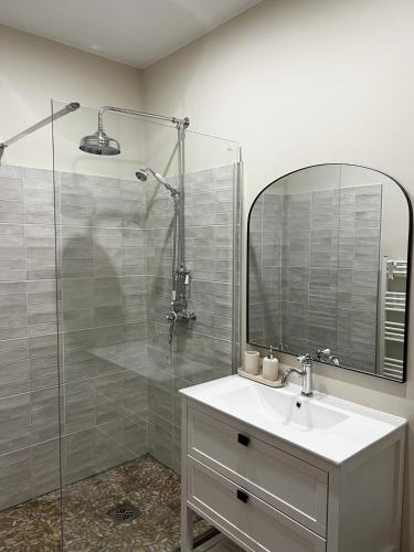 une salle de bain avec un lavabo et une douche avec un miroir dans l'établissement Cours République, à Narbonne