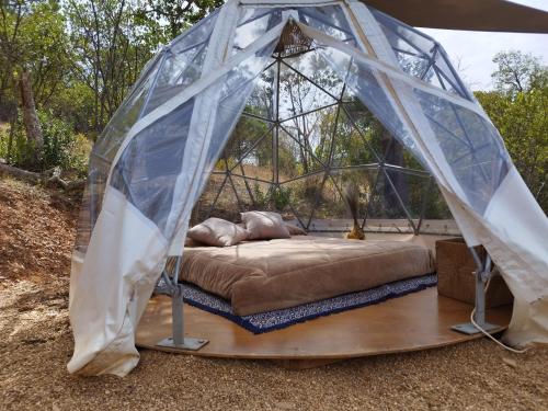 a bed in a dome tent in a yard at Herdade da Maceira in São Luis