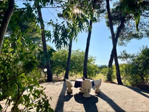 a table and chairs in a park with palm trees at VillaGabry in Castellabate