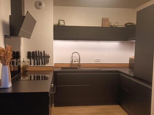 a kitchen with a sink and a counter top at Appart' cocooning prêt de la forêt in Seignosse