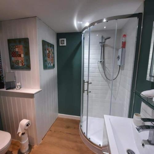 a bathroom with a shower and a sink and a toilet at The Annex in Briston